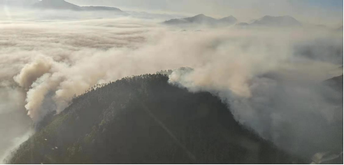 云南香格里拉“12·28” 森林火灾全线扑灭