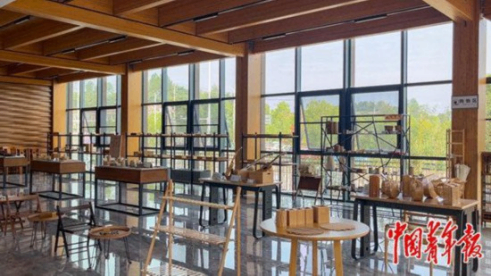 竹子变“钢筋”的科技密码