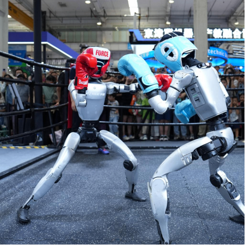 &ldquo;功夫&rdquo;升段商业化提速 人形机器人产业迎新机