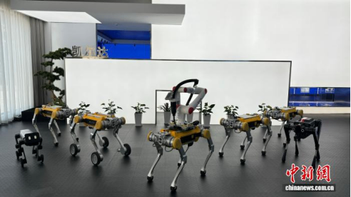 杭州工业四足机器人上新 防水、攀爬、长续航均&ldquo;在线&rdquo;